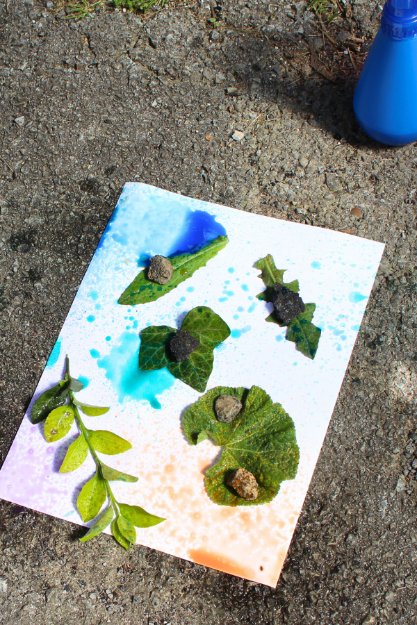 Leaves spread out on a white paper and splatted with differnt watercolors.