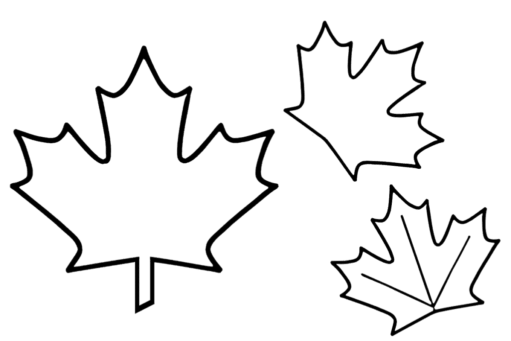 maple leaf template