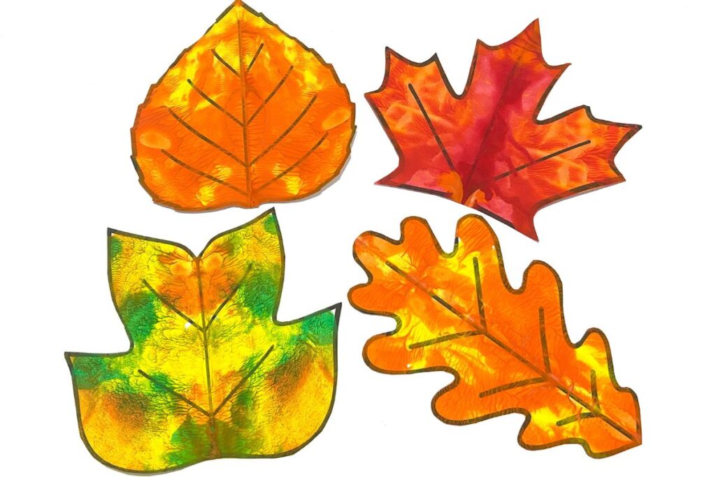A 4 leaf collage.