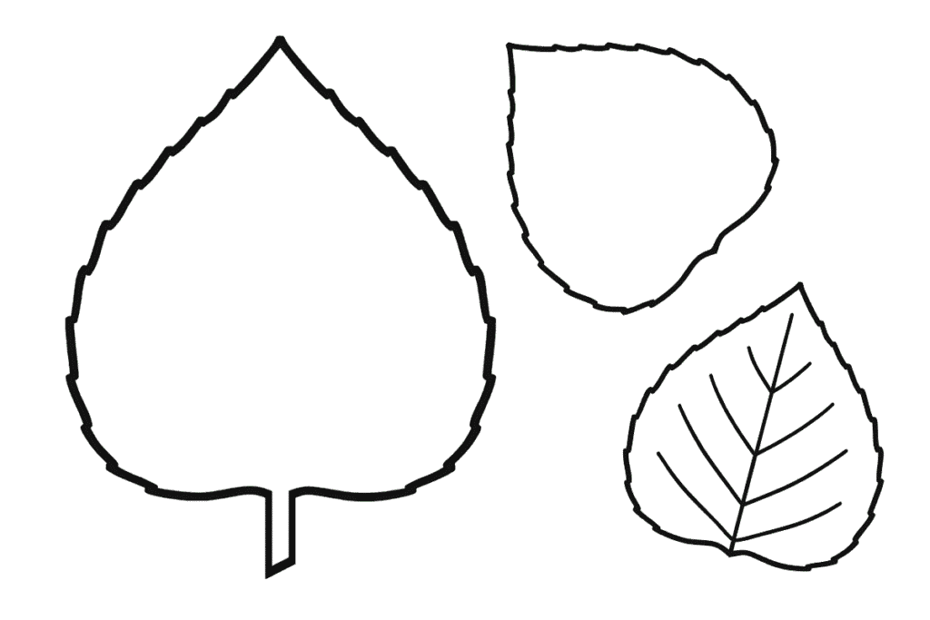 poplar leaf template