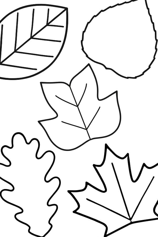 A collage of 5 free printable leaf templates.