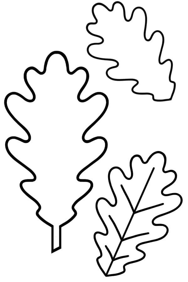 oak leaf template