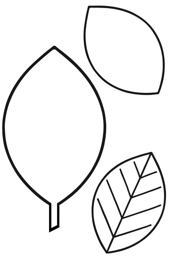 oval leaf template